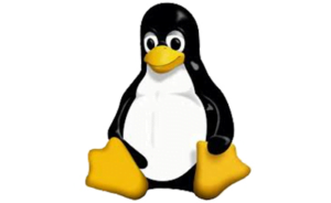 For proper operating systems